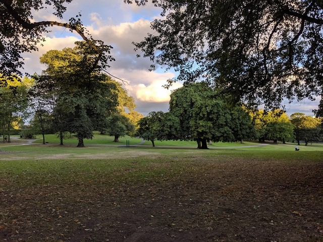 Potternewton Park