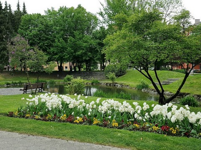 Rapoldi Park Innsbruck