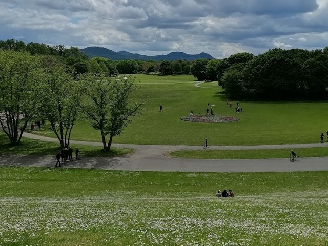 حديقة راينيو في بون - best things to do in Bonn
