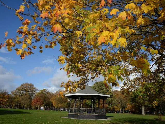 Birmingham Attractions for Families