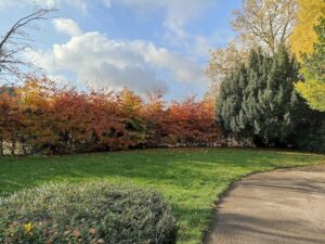 Woodthorpe Grange Park