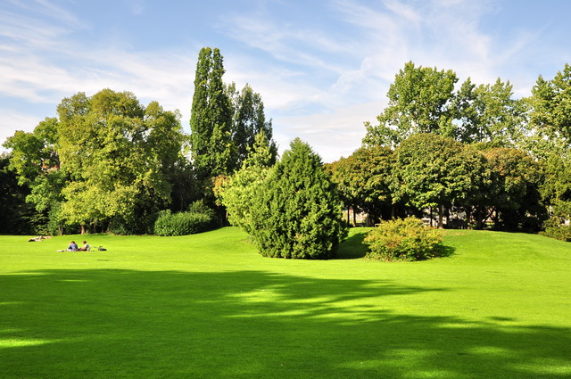 Arboretum Zurich
