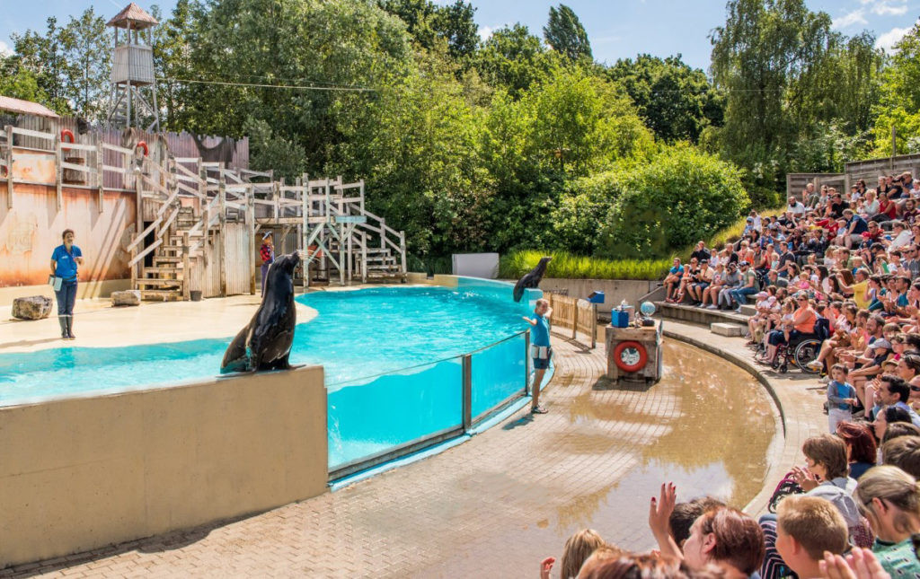 Dolphinarium Boudewijnpark Brugge
