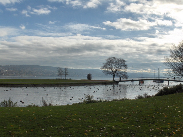 Landiwiese Park Zurich
