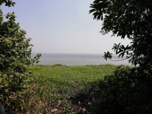 جزيرة باثيرامانال كيرلا - Pathiramanal Island Kerala