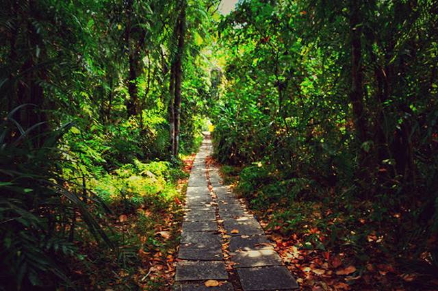 Pathiramanal Island Kerala