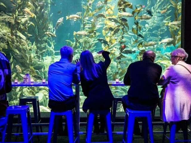 اكواريوم ريبلي في تورنتو - Ripley's Aquarium of Canada