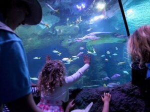 اماكن الترفيه في مانشستر - fun activities to do in Manchester