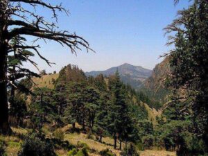 الحديقة الوطنية تلمسان - Tlemcen National Park