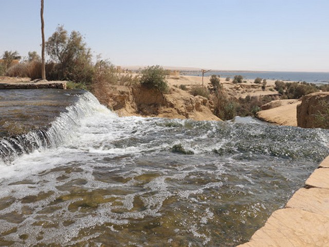 things to do in Fayoum