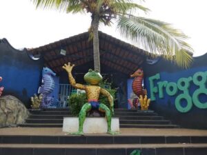اماكن الترفيه في غوا الاماكن الترفيهية في غوا - fun things to do in Goa