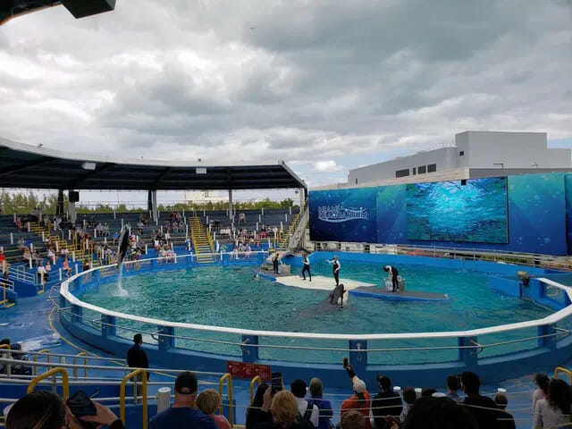 most fun things to do in Miami - fun things to do in miami florida for adults