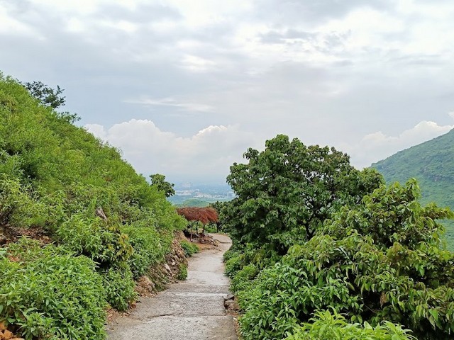 Loh E Dandi Forest Islamabad