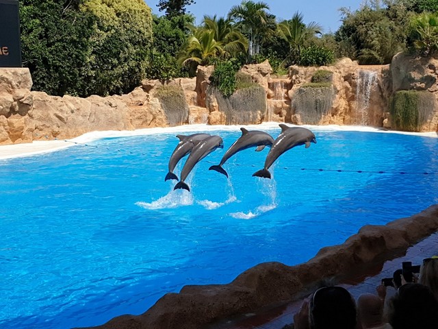fun things to do in Canary Islands