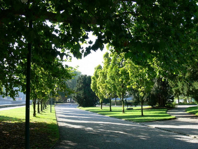 Platzspitz Park Zurich