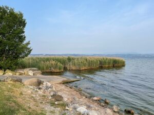 كورنيش بحيرة سيرميوني - Sirmione Lakefront Corniche - attractions in Sirmione