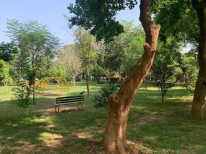 حديقة سيلفان اسلام اباد - attractions in Islamabad for families
