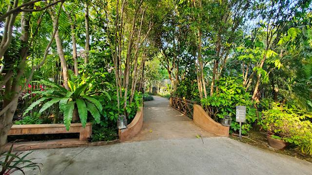 top things to do in Chiang Mai