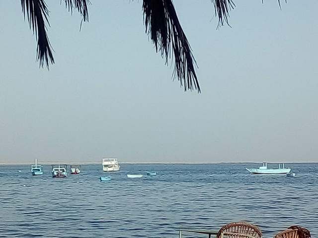 شاطئ سفاجا