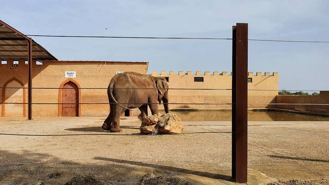 Safari Zoo in Balearic Islands