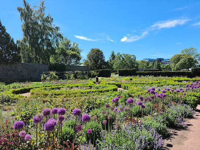 Saughton Garden Edinburgh