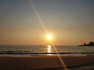 شاطئ تماري جونيه - Tamary Beach Jounieh