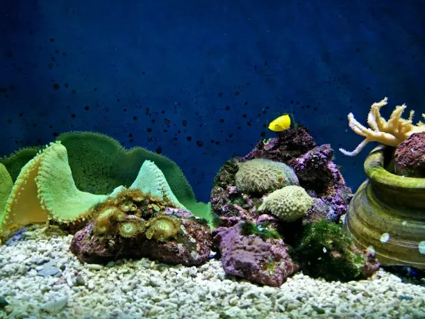 Underwater World Langkawi