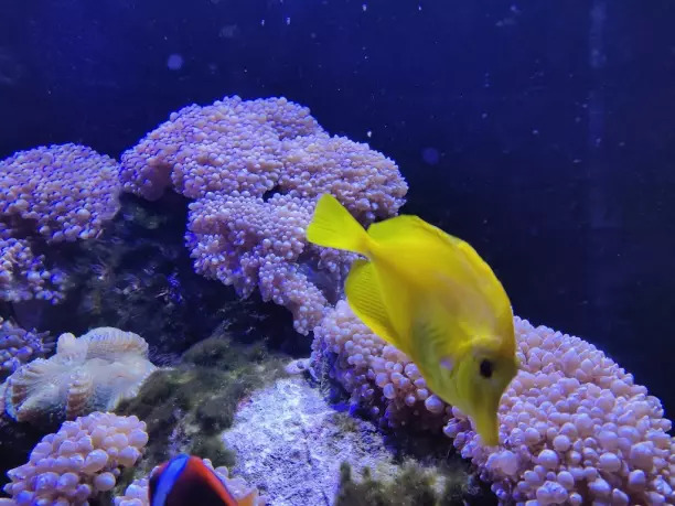 Underwater World Langkawi