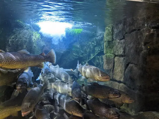 Milan Aquarium