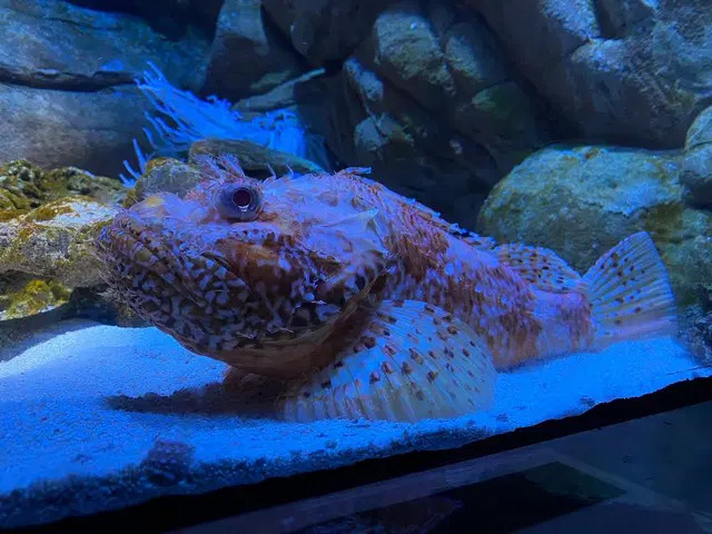 Milan Aquarium