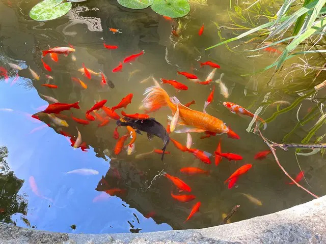 Milan Aquarium