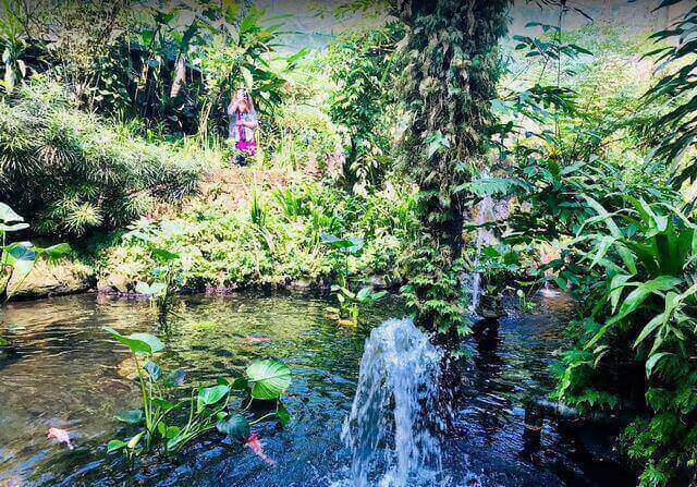 Kuala Lumpur Butterfly Park