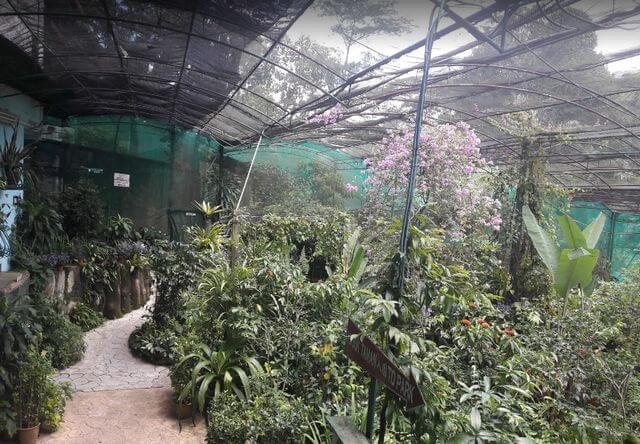 Kuala Lumpur Butterfly Park