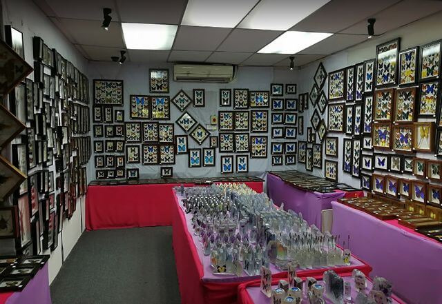 Kuala Lumpur Butterfly Park