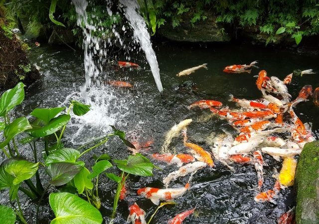 Kuala Lumpur Butterfly Park