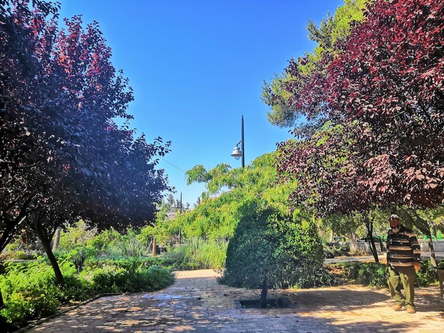 best things to do in Amman with kids
