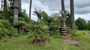 غابة الأدرينالين تاورانجا - Adrenalin Forest Tauranga