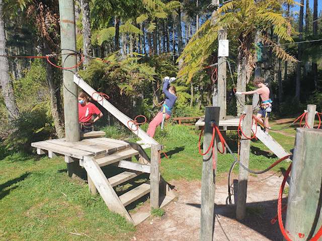 Adrenalin Forest Tauranga