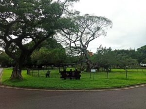 بانيان جاردن تاينان - Banyan Garden Tainan - parks in Tainan