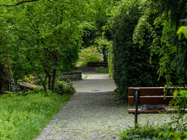 Burgermeister Garten in Nuremberg