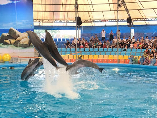 Dolphins Bay in Phuket