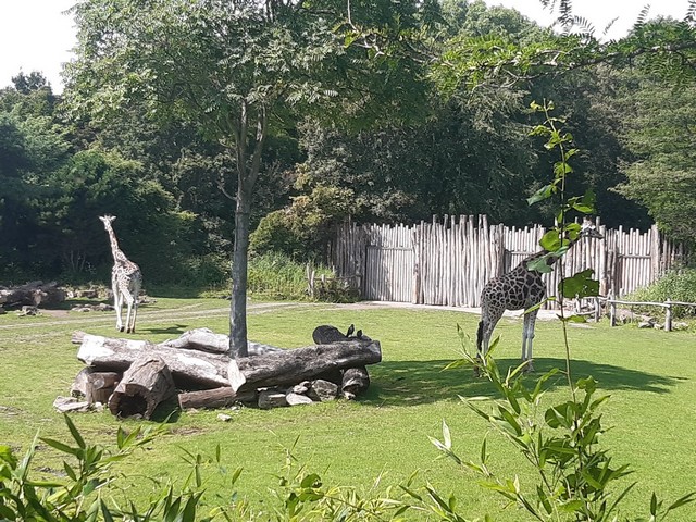 Elefantentempel Zoo Leipzig 
