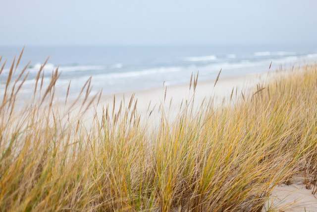 beaches in Ravenna Italy