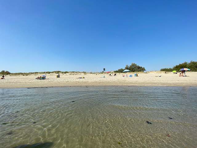 Free Beach in Ravenna