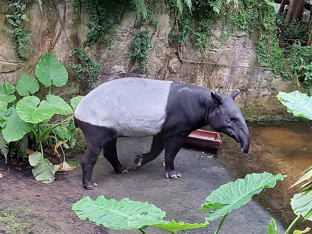 Gondwanaland Zoo Leipzig