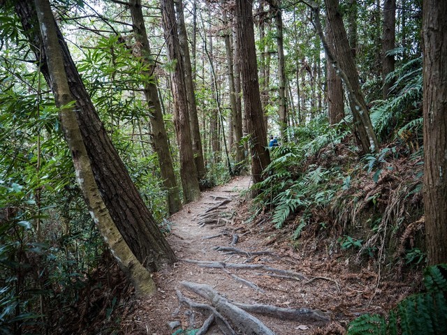 Hudiegu Waterfall in Taichung