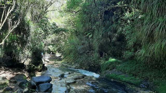 Kaiate Falls Tauranga