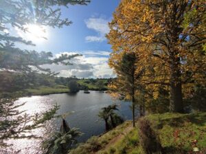 بحيرة ماكلارين تاورانجا - Lake McLaren Tauranga