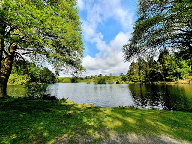 Lake McLaren Tauranga