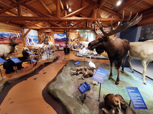 things to do in Whitehorse Canada